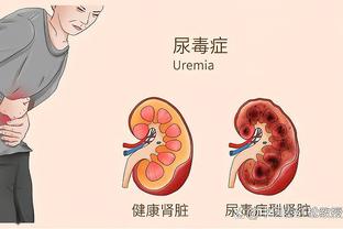 开云在线登陆截图3